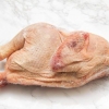 Tilbered frossen kylling trygt