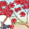 Å lage et bonsai-tre av japansk lønn
