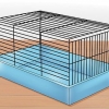 Å temme en hamster