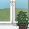 Få en hoya-plante til å blomstre