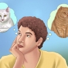 Adopter en katt