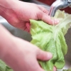 Lage en salat