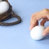 Holde kokte og ukokte egg fra hverandre