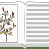 Å dyrke sunne planter