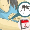 Omsorg for noen med dengue