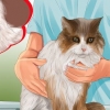 Identifiser klumper på katten din