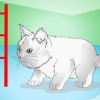 Få kattunger til å slutte å mjau
