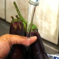 Skrell en aubergine