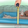 Sette opp et hamsterbur