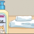 Bading av en katt med minimal skade