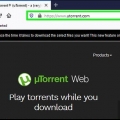 Last ned filmer med utorrent