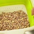 Tilbered pinto bønner