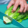 Lage hagesalat