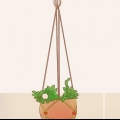 Hindre en katt fra å spise planter