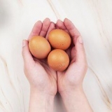 Bli kvitt kviser med et egg