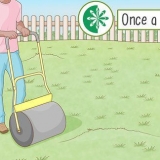 Utjevning av en humpete plen