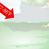 Lag et sneglehabitat