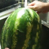 Å lage en vannmelonfat