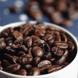 Lage kaffe med kaffepresse