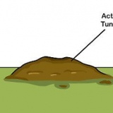 Fjern føflekker fra plenen din