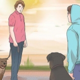 Hindre en hund fra å bjeffe på andre hunder