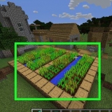 Samle gulrøtter i minecraft