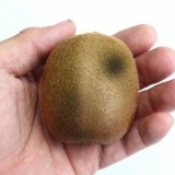 Se om en kiwi ikke lenger er god