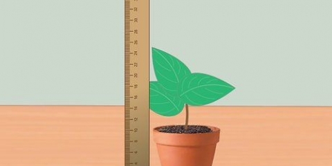 Måle veksthastigheten til planter