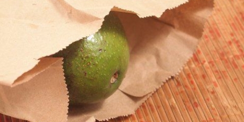 Modne en avokado