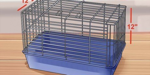 Velge et godt hamsterbur