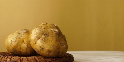 Forbereder jicama