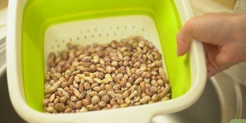 Tilbered pinto bønner
