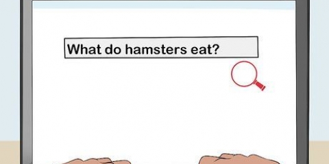 Få tillatelse fra foreldrene dine til å holde hamster