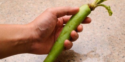 Tilbereder wasabi