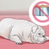 Behandling av diaré hos en hund