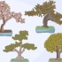 Å dyrke og ta vare på et bonsai-tre