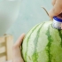 Lage en vannmelon med vodka