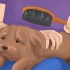 Ta vare på en shih tzu