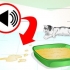 Hindre katten din fra å tisse på steder der det ikke er tillatt